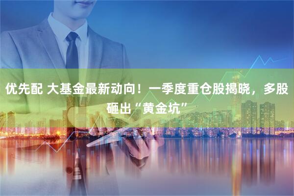 优先配 大基金最新动向！一季度重仓股揭晓，多股砸出“黄金坑”