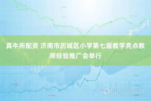 真牛所配资 济南市历城区小学第七届教学亮点教师经验推广会举行