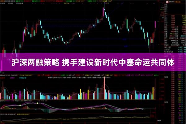 沪深两融策略 携手建设新时代中塞命运共同体